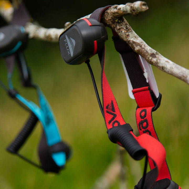 Vango Flux Headtorch and other headlamps hanging on a tree branch in a camping setting, showcasing the lightweight and portable design for outdoor adventures.